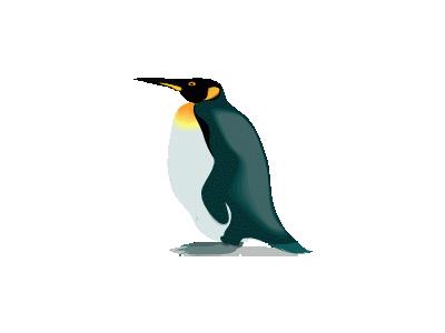 Pinguino4 Other