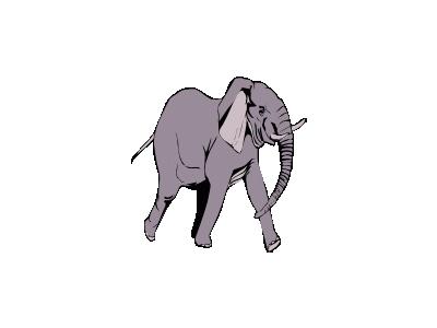 Elefante In Corsa Other