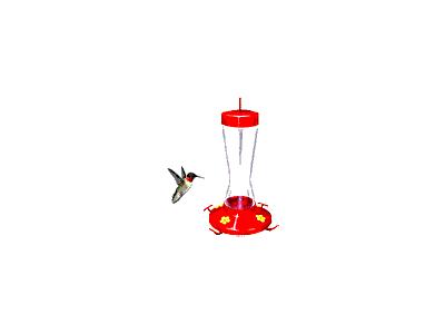 Logo Animals Birds 013 Animated