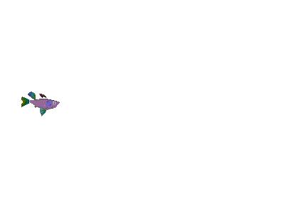 Logo Animals Fish 016 Animated