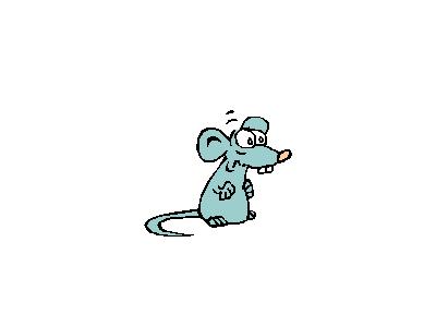 Logo Animals Rodents 029 Animated