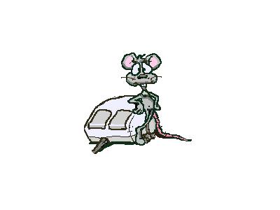 Logo Animals Rodents 027 Animated
