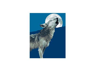 Logo Animals Wolves 006 Animated