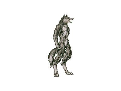 Logo Animals Wolves 008 Animated