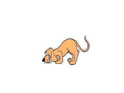 Logo Animals Dogs 016 Animated