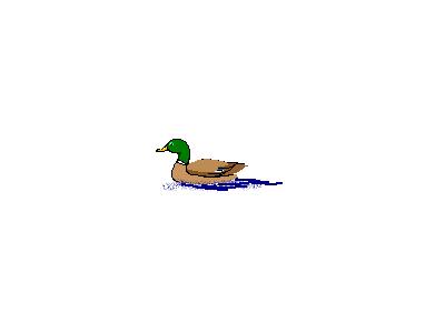 Logo Animals Ducks 010 Animated