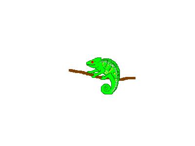 Logo Animals Reptiles 013 Animated
