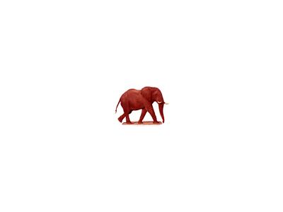 Logo Animals Jungle 022 Animated