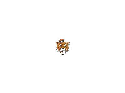 Logo Animals Jungle 058 Animated