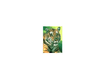 Logo Animals Jungle 049 Animated