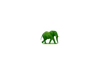 Logo Animals Jungle 021 Animated