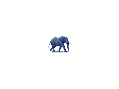 Logo Animals Jungle 020 Animated