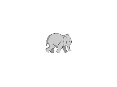 Logo Animals Jungle 024 Animated