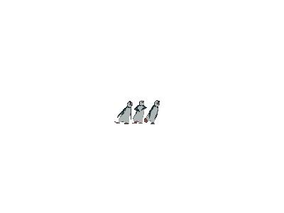 Logo Animals Penguins 009 Animated