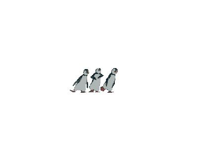 Logo Animals Penguins 007 Animated