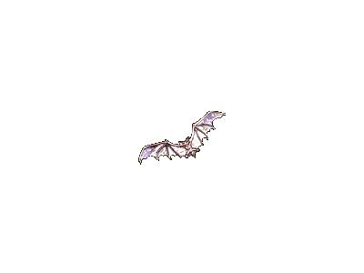 Logo Animals Bats 009 Animated