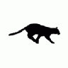 Logo Animals Cats 049 Animated