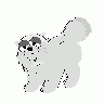 Logo Animals Cats 040 Animated title=