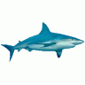 Logo Animals Fish 039 Color