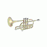 Logo Music Brass 089 Animated title=