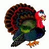 Greetings Turkey04 Animated Thanksgiving title=