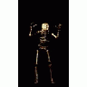 Greetings Skeleton02 Animated Halloween