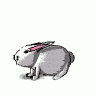 Greetings Bunny06 Animated Easter