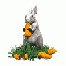 Greetings Bunny11 Animated Easter