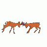 Greetings Reindeer02 Animated Christmas title=