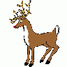 Greetings Reindeer03 Animated Christmas