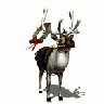 Greetings Reindeer12 Animated Christmas
