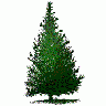 Greetings Tree10 Color Christmas