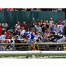 Photo Horse Racing Animal