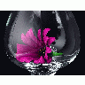 Photo Daisy Glass Flower title=