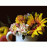 Photo Flower Still Life Flower title=