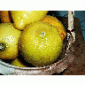 Photo Lemon 4 Food