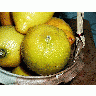 Photo Lemon 4 Food title=