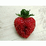 Photo Strawberry Glass 5 Food