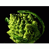 Photo Fractal Broccoli Food title=