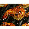 Photo Prawns 3 Food title=