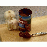 Photo Tomato Paste Food