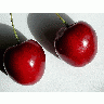 Photo Cherry 22 Food title=