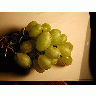 Photo Vine 2 Food title=
