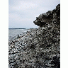 Photo Rocky Shore Landscape title=