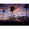 Photo Sunrise Landscape