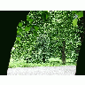 Photo Forest 75 Landscape title=