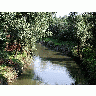 Photo River 5 Landscape title=