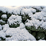 Photo Powder Snow On Stone Wall Landscape