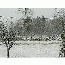 Photo Snowfall Landscape
