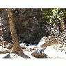 Photo Tree Rock Stream Landscape title=